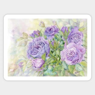 Lavender Roses symbolize love at first sight or enchantment Sticker